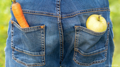 Die neue Arbeitswelt 