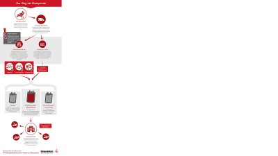 Grafik zum Weg des Blutes nach der Blutspende