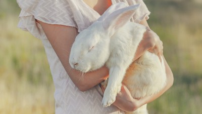 Frau hält ein weißes Kaninchen im Arm