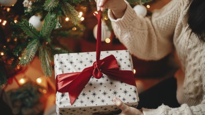 Person hält ein festlich verpacktes Geschenk mit roter Schleife vor einem Weihnachtsbaum.