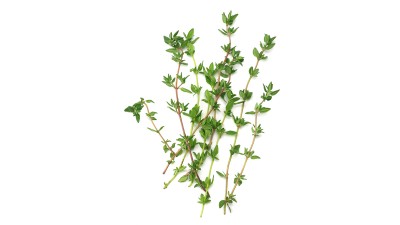Thymian