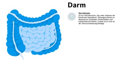 Die Hormone des Darms