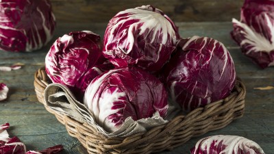 Radicchio