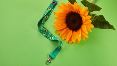 Eine Sonnenblume und ein Schlüsselband auf grünem Hintergrund.