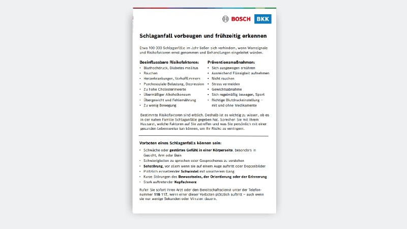 Vorschaubild Flyer Schlaganfall