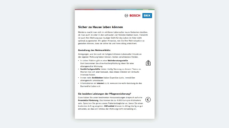 Vorschaubild Flyer Sturzgefahr