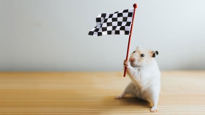 Maus mit Flagge